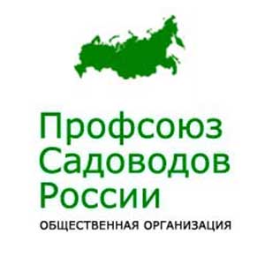 Ирригатор